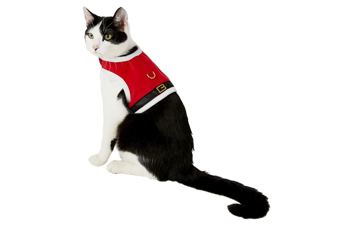 Best Cat Harnesses (Buyer's Guide & Top Picks) PurrfectKittyCat